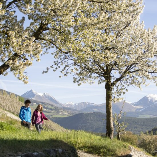 Impressionen vom Guesthouse Plose in Brixen