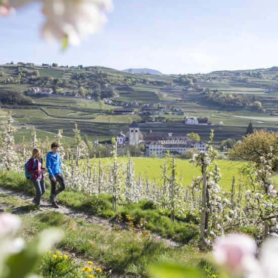 Kultur in Brixen