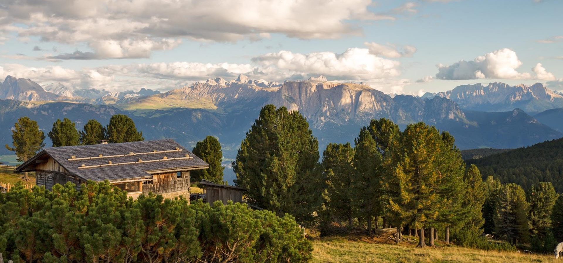 Sommerurlaub in Suedtirol | Wandern auf der Plose